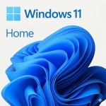 Punch Technology Offers Genuine Windows 11 Home