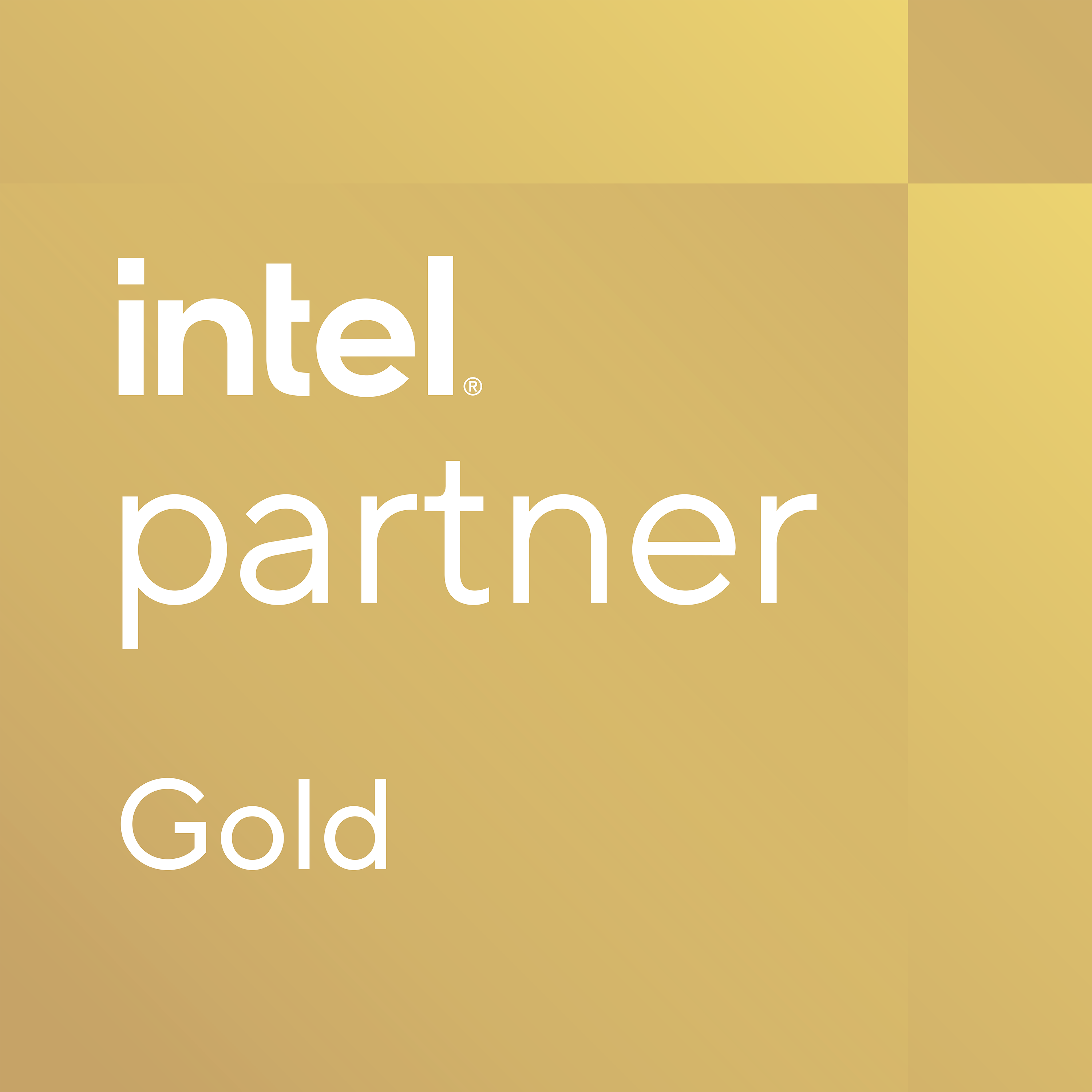 Punch Technology is an Intel Gold Partner